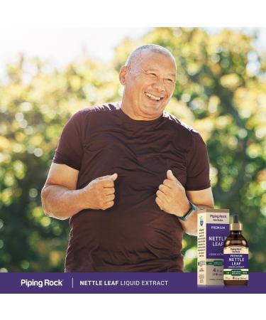 Piping Rock Nettle Leaf Extract Liquid | 4 Fl Oz | Herbal Botanical Tincture | Alcohol Free Drops | Urtica Dioica | Non GMO Gluten Free Supplement - Buy Online on GoSupps.com
