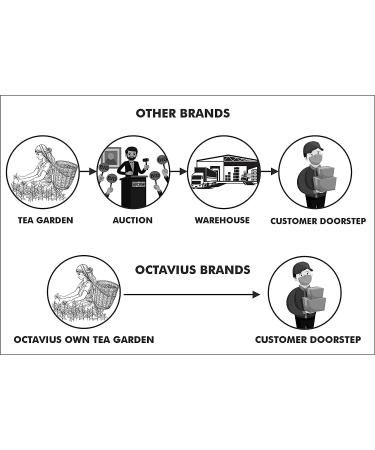 Octavius Teabags Sampler Pack - 6 Assorted Tea Flavors - Perfect Gift for Tea and Chai Lovers - 50 Enveloped Teabags - Buy Online on GoSupps.com