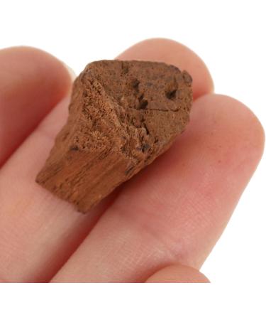  STOBAZA 1 Pack Chips Home Brewing Supplies Wine Making Supplies Red Wine Twigs Handle For Clay Teapot Home Brewing And Wine Boxes - Buy Online on GoSupps.com