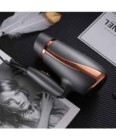 Professional Hair Dryer 2300W Ion Hair Dryer Salon Fast Hair Dryer 3 Heat Levels 2 Speeds and Cold Air (Brown) - Buy Online on GoSupps.com