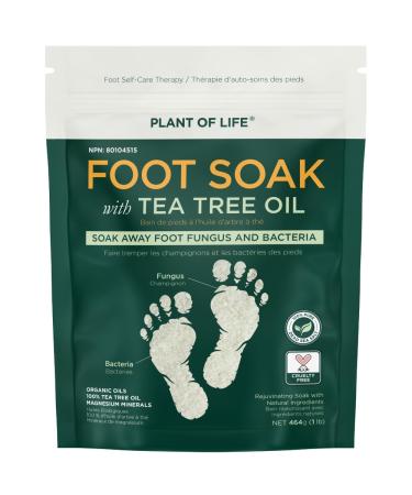 PLANT OF LIFE Tea Tree Oil Foot Soak with Epsom Salt - for Toenail Fungus and Bacteria Foot Odor Soothen and Relax Tired Sore Achy Feet. - 16 Oz