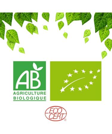 Organic Black Tea Mango Papaya Treasure Island Loose Black Tea 100 gram bag with Zip 40 Cups 100% Agricult - Buy Online on GoSupps.com