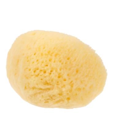 MERRYHAPY Natural Sponge Greece Sponges for Facials Facial Sponges Cleansing Sponges for Face Facial Cleansing Sponge Face Scrubber Face Sponge for Washing Face Facial Supplies Professional