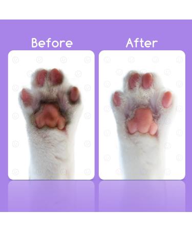 Nobleza Dry Foam Shampoo for Dogs Cats & Rabbits - Lavender 250ml | Ideal After Walks & Before Bed for Kittens & Puppies - Buy Online on GoSupps.com