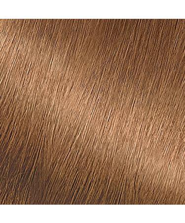 Garnier Nutrisse Nourishing Color Creme 70 Dark Natural Blonde (Almond Creme) - Rich Long-Lasting Hair Color for Beautiful Results | Shop Internationally - Buy Online on GoSupps.com