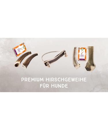 Naftie Hirschweih Half Antler Bone - Natural Chew for Large Dogs | Dental Care Snack | Premium Antler Kausnack L - Buy Online on GoSupps.com