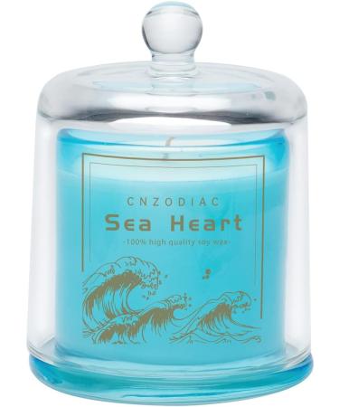 Luxury Sea Salt Scented Candles 9 oz Natural Soy Wax Aromatherapy Gifts for Women | 50 Hours Burn Time in Elegant Blue Jar - Buy Online on GoSupps.com