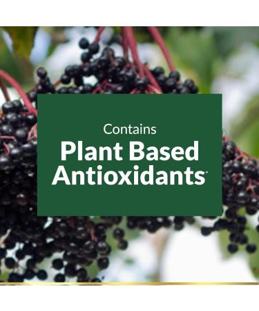 Nature's Bounty Sambucus Elderberry Herbal Supplement 630mg Rapid Release Softgels - 120 Count Pack - Buy Online on GoSupps.com