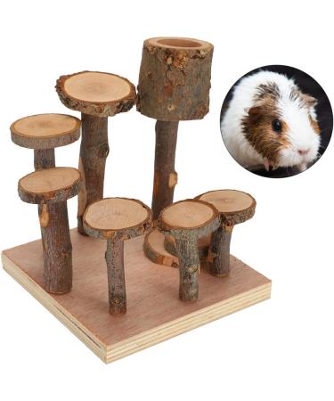 Nikou Hamster Toys Platforms Ladder Exercise Stairs Small Pet Climbing Ladder Step Eco-Friendly Fitness Exercise Feeder Chew Toy Not Easy To Fall For Hamster(S) - Buy Online on GoSupps.com