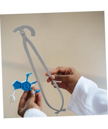 Buy Lurrose Electric Pelvic Teaching Tool - Precision Stainless Steel Measurement Workshop Accessory - Buy Online on GoSupps.com