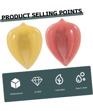 Minkissy Ceramic Shells Set - 8 Essential Oil Holders Decorative Bowls & Plates for Facial Care Salsa & More - Buy Online on GoSupps.com