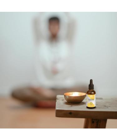 Relaxcation Solar Plexus Chakra Blend Oil | Ginger Grapefruit Cedarwood & Marjoram | Uplifting Oil for Energy Clarity & Inner Strength | Ideal for Meditation| Vegan Extract (2 oz) 2 Fl Oz (Pack of 1) - Buy Online on GoSupps.com