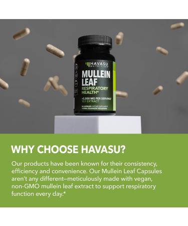 Mullein Leaf Capsules for Respiratory Health - 5000mg Extract 10:1 for Lung Support and Immune Function - 60 Count - Vegan Non-GMO Capsules - Herbal Supplement for Daily Wellness - 2 Month Supply 60 Count (Pack of 1) - Buy Online on GoSupps.com