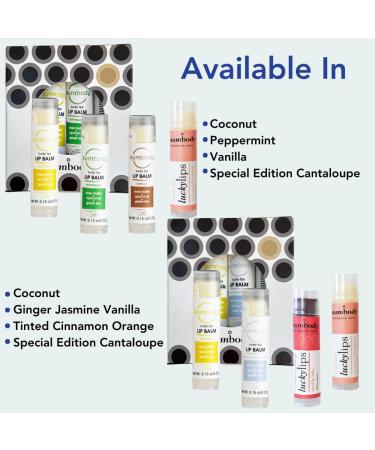 Natural Beeswax Lip Balm Gift Set - Assorted Flavors 100% Pure Ingredients Moisturizing & Nourishing for Dry Cracked Lips - Made in USA - Buy Online on GoSupps.com