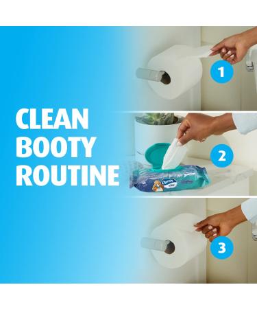 Charmin Freshmates Flushable Wipes Refillable Tub, 40ct (Pack of 6) - Buy Online on GoSupps.com