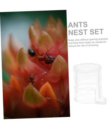 Buy Minkissy 3pcs Pet Water Feeder & Ant Farm Observation Kit | Mini Pet Houses & Acrylic Feeding Cup for Ants | International Shipping Available - Buy Online on GoSupps.com