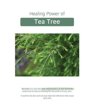 Buy Tea Tree Acne Spot Patches - Salicylic Acid Treatment for Blemishes | 105 Count | Fast International Shipping - Buy Online on GoSupps.com