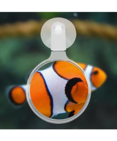 POPETPOP Aquarium Magnifier Acrylic Fish Tank Viewer Fish Tank Magnifying Glass Small Animal Magnifier with Suction 3.5cm - Buy Online on GoSupps.com