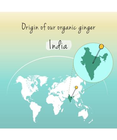 Organic Ginger Capsules Vegavero 650mg | Lab-Tested, Additive-Free | 120 Vegan Capsules - Buy Online on GoSupps.com