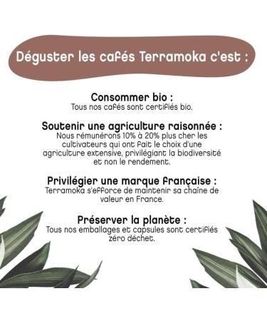 TERRAMOKA 300 Capsules Organic Coffee of excellence 100% Pure Arabica from Peru - Compatible with Nespresso Capsule machines - Fruity nuanced and racy - Zero Waste - Mr Albert - Roasted in France - Buy Online on GoSupps.com