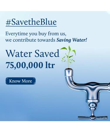 Blue Nectar Kumkumadi Brightening Face Wash | Sulphate-Free Anti Pimple Cleanser with Saffron for Women & Men (10 Herbs 3.38 Fl Oz) - International Shipping Available - Buy Online on GoSupps.com