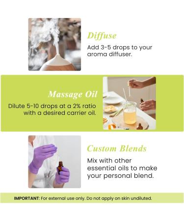 Handcraft Blends Spicy Shield Set: Citronella and Clove Essential Oils (2 x 4 Fl Oz) 100% Pure & Natural for Diffuser Aromatherapy and DIY Projects - Buy Online on GoSupps.com