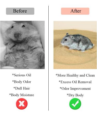 LISSION Hamster Bath Sand 2.2lb 1000g Litter Potty Sand Dust Free Desert Bath Sand for Hamster Chinchillas Guinea Pigs Gerbil Syrian Small Animals Beige Yellow 2.2 lb - Buy Online on GoSupps.com