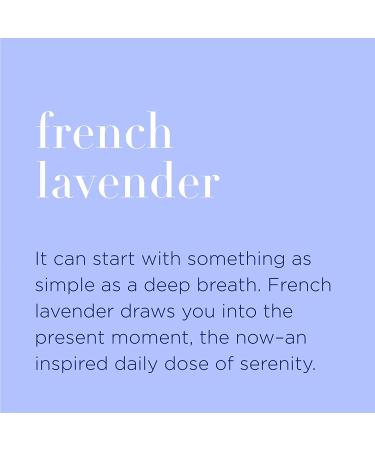 Organic French Lavender Hand Cleansing Wipes - 210 Pack | Biodegradable, Plant-Derived Alcohol with Pure Essential Oils - Buy Online on GoSupps.com