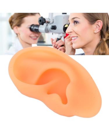 Silicone Ear Acupuncture Practice Model for Hearing Aid & Earrings Demonstration(Right) - Buy Online on GoSupps.com
