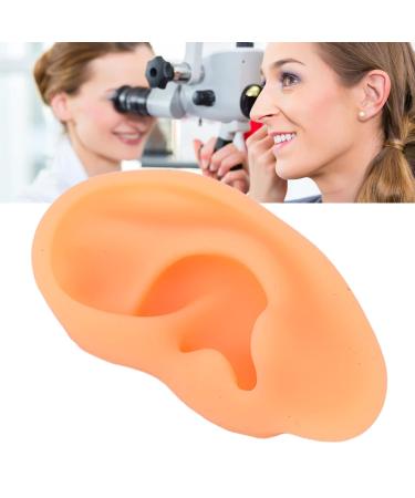 Flexible Waterproof Silicone Ear Model (Right) - Professional Hospital Display - Buy Online on GoSupps.com