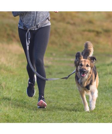 Trixie Jogging Line for Dogs with Belly Belt M-L | 1.20-1.50m | Ideal Leash for Medium to Large Dogs | Grafit/Black - Perfect for Active Dog Owners - Buy Online on GoSupps.com