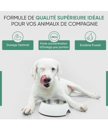 Hemp Seed Oil Dog & Cat 60ml Cold Pressed with Omega 3 6 9 - (Cannabis Sativa) - Source of Vitamins A B D - for Anxiety & Stress - Made in EU - Buy Online on GoSupps.com