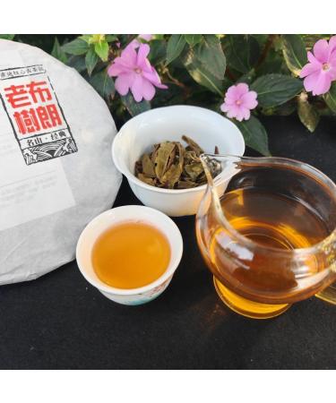 HQZM Exquisite Yunnan Intermediate Puerh Tea Raw Tea 357g Rich in Flavor - Buy Online on GoSupps.com
