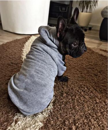 Ducomi 100% Cotton Hooded Dog Sweatshirt - Warm Monochrome Sweater for All Breeds - XS to 9XL Sizes - Gray (M) - Buy Online on GoSupps.com