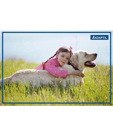 ADAPTIL Collar for Medium/Large Dogs Calms & Comforts Dogs - Use These Collars by ADAPTIL for Dogs During Training Boarding Loud Noises and Fears Outdoors (Large Dog Calming Collar 1-Pack) Medium/Large Dog 1-pack - Buy Online on GoSupps.com