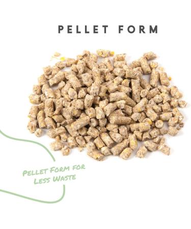 Non-GMO Manna Pro Layer Pellets - Organic High Protein Feed for Chickens - Buy Online on GoSupps.com