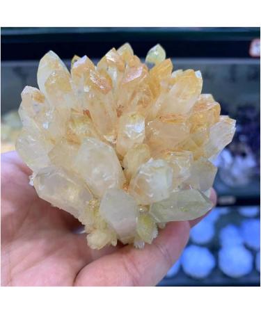Natural Crystal Rough Crystal Cluster Natural Rare Yellow Quartz Crystal Cluster Specimen (Size : 150-200g) - Buy Online on GoSupps.com