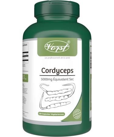 VORST Cordyceps Sinensis Extract 5000mg Dry Equivalent 120 Vegan Capsules | Mushroom Supplement | Powder Pills | 1 Bottle 120 count (Pack of 1) - Buy Online on GoSupps.com