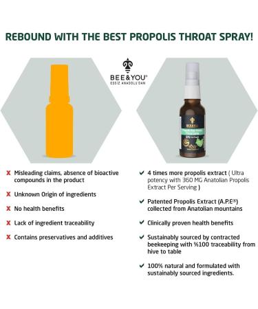 Bee and You Raw Honey Throat Spray, 100% Pure Propolis Extract, Immune Support, Sore Throat & Congestion Relief, Oral Health, Antioxidants, Natural, Keto, Paleo, Gluten-Free | 1 FL Oz (Pack of 2) - Buy Online on GoSupps.com
