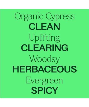 Plant Therapy Organic Cypress Essential Oil 10 mL (1/3 oz) 100% Pure Undiluted Natural Aromatherapy for Congestion Relief and Clear Skin - Buy Online on GoSupps.com