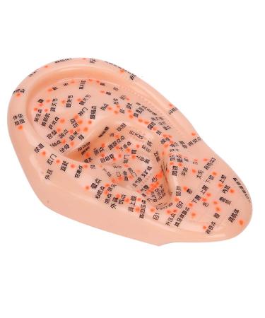 Human Ear Acupuncture Model with Acupuncture Points - Best Ear Massage Therapy Tool for Pain Relief & Wellness - Buy Online on GoSupps.com