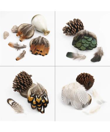 180pcs Natural Feathers Assorted for Dream Catcher Crafts - 6 Styles/180 Pcs - Buy Online on GoSupps.com