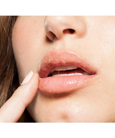 FarmHouse Fresh Whoopie Lip Polish - Exfoliating and Hydrating Lip Scrub - Buy Online on GoSupps.com