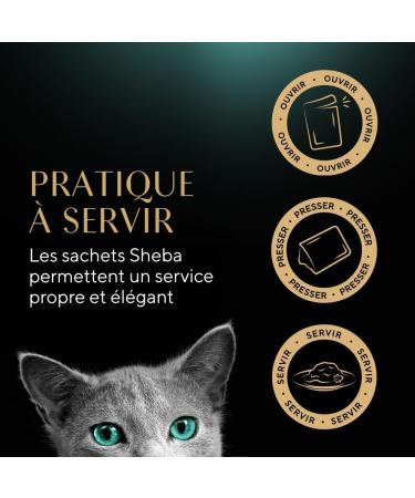 Sheba Sauce Collection Fresh Sachets Wet Food Fish Selection for Adult Cat 4 Varieties 40x85g - Buy Online on GoSupps.com