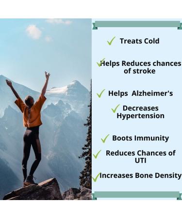 Dr. WellMe Vitamin C 500mg Chewable Tablets with Rose HIPS 60 Tablets for Immune & Bone Health for Adults Tropical Breeze Flavor - Gluten-Free Chewable Vitamin C Supplement 60ct - Buy Online on GoSupps.com