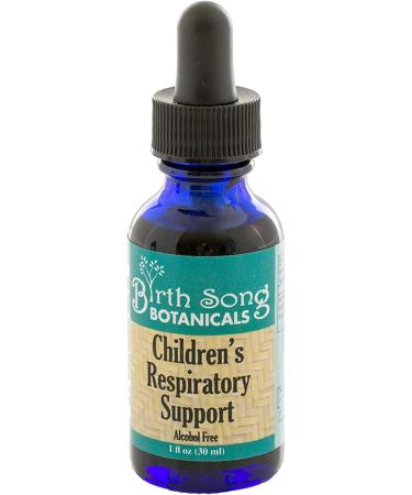 Birth Song Botanicals Children's Respiratory Support Tincture Herbal Immune Support Supplement with Elderberry 1oz Bottle