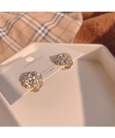 Feyley Magnetic Clip-On Earrings for Women & Girls | Round Pickled Zircon Fashionable Silver Earrings - Buy Online on GoSupps.com