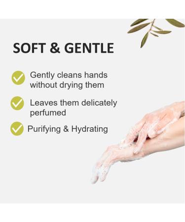 Cucina Fruits & Passion Travel Mini Hand Soap Refill 3-Pack - Purifying Moisturizing & Gentle Liquid Soap Coriander and Olive Tree 8.4 fl oz Each - Buy Online on GoSupps.com