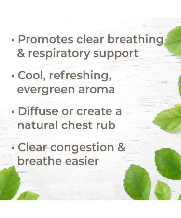 Plant Therapy Respir Aid Essential Oil Blend 10 mL - Sinus & Congestion Clearing Synergy Blend - 100% Pure & Natural Aromatherapy - Therapeutic Grade - 0.34 Fl Oz - Buy Online on GoSupps.com