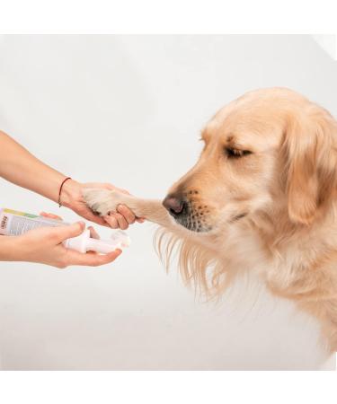 Nobleza Dry Foam Shampoo for Dogs Cats & Rabbits - Lavender 250ml | Ideal After Walks & Before Bed for Kittens & Puppies - Buy Online on GoSupps.com